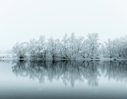 Маска заподозрили в желании создать личный легион из собственных детей