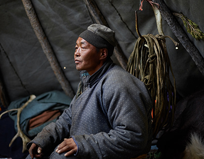 SHAMAN, Волочкова или Дуров: кого в России назвали Человеком года