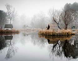 10 тысяч заказов за 60 минут: новая модель Toyota вызвала ажиотаж в Китае