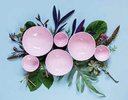 Проверят дачу без председателя с 22 июня: за такой забор на участке ждите штраф  названо 1 условие