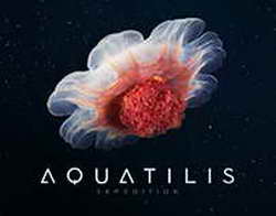 Brabus 900 Rocket с пробегом всего тысяча километров появился в продаже в России