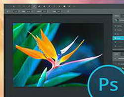 Новые TWS Creative Aurvana Ace SXFILG